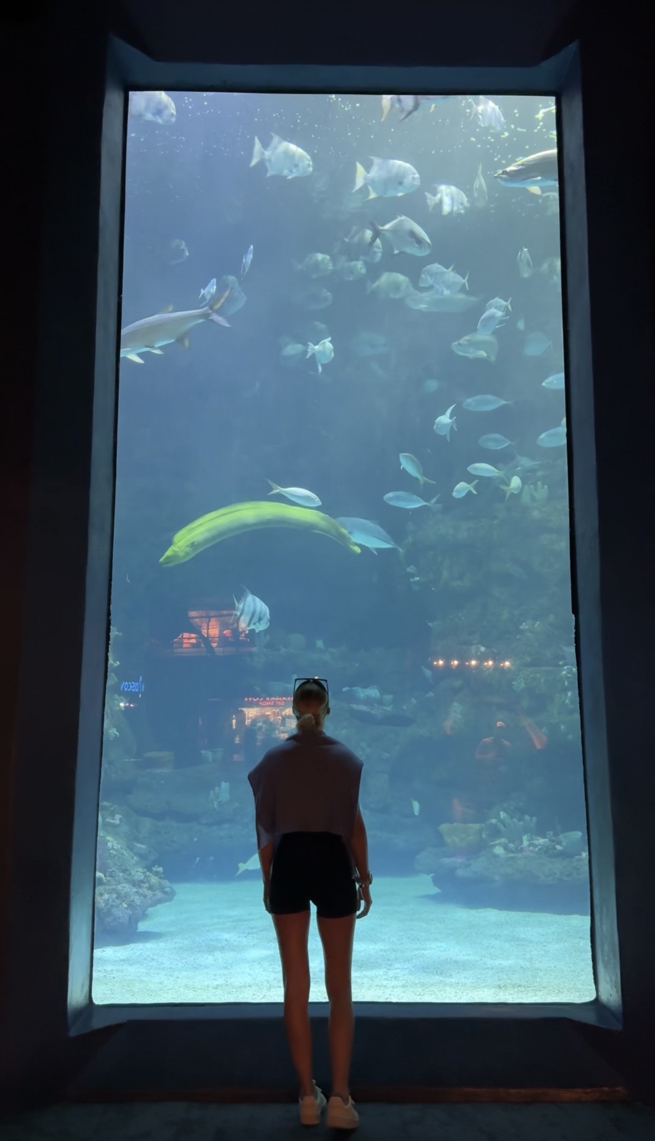 NC Aquarium at Fort Fisher Kure Beach NC